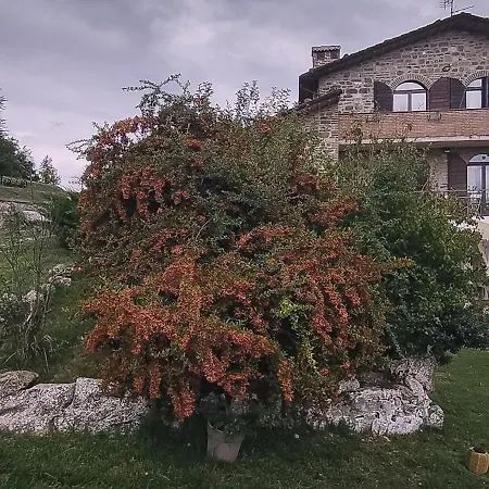Amrita Janani-yoga E Lifestyle Tra Gubbio E Assisi B&B *