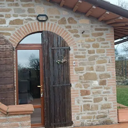 Amrita Janani-yoga E Lifestyle Tra Gubbio E Assisi *