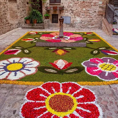 Amrita Janani-yoga E Lifestyle Tra Gubbio E Assisi Bed & Breakfast Localita Carpiano